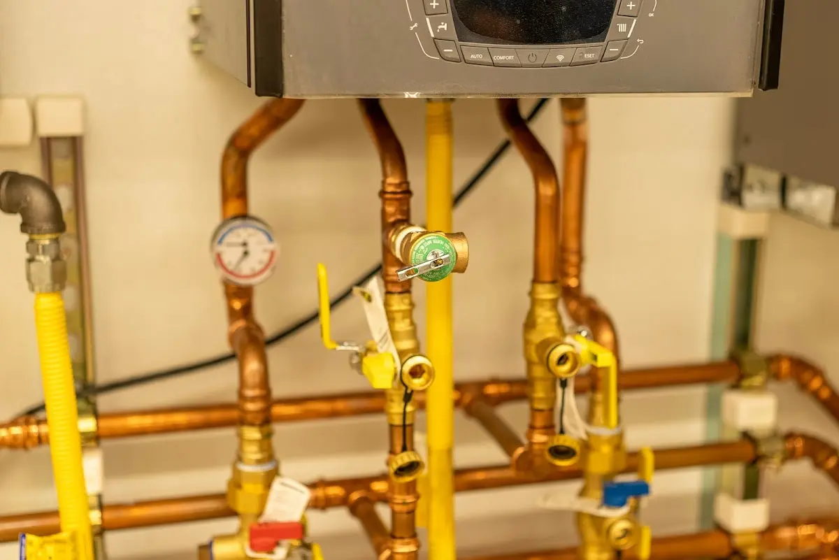 Licensed technician providing Sewer Cleanout for a homeowner in Lucedale